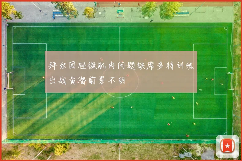 拜尔因轻微肌肉问题缺席多特训练出战黄潜前景不明