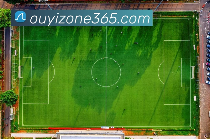 App Interface Preview